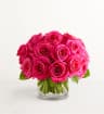 Hot Pink Roses