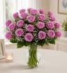 Lavender Rose Elegance